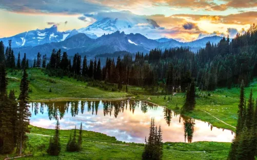 washington state medical marijuana faq scaled