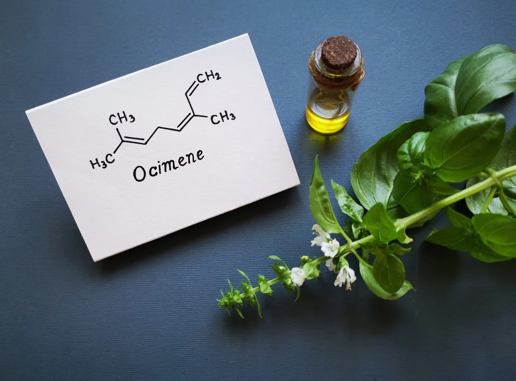 shutterstock 2008084139 scaled