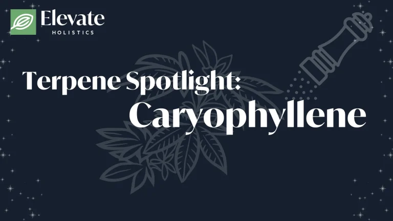 Caryophyllene terpene