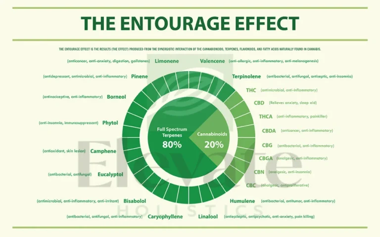 chart EH theentourageeffectofcannabis 1200w