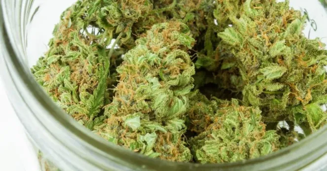 Medical Dispensaries in Neosho