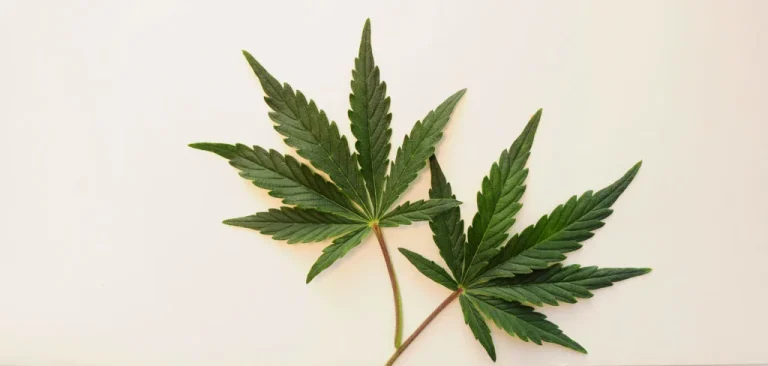 shutterstock 1937702467 scaled e1651593627173