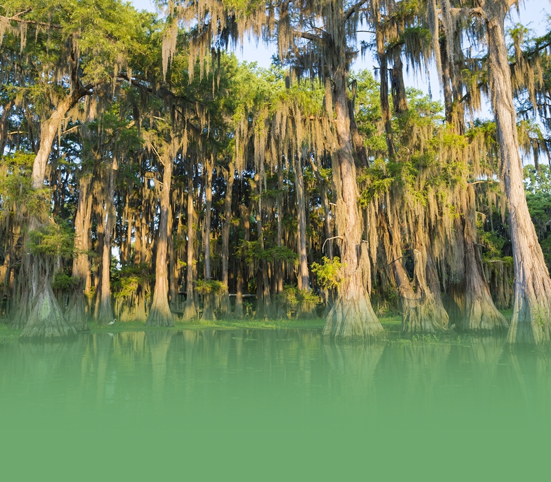 HeroImg StateLawMobile Louisiana