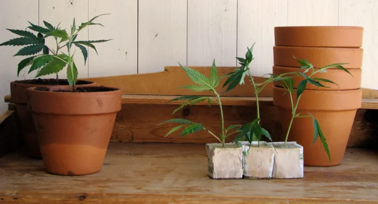 shutterstock 31432681 scaled e1652471259181