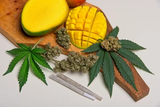 shutterstock 1627465849 scaled