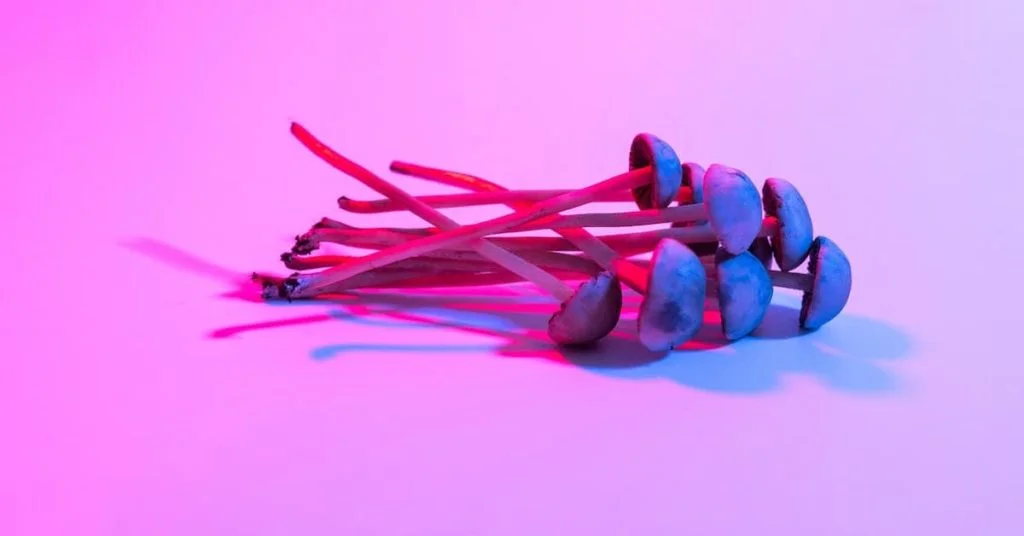 legal psychedelics in the us