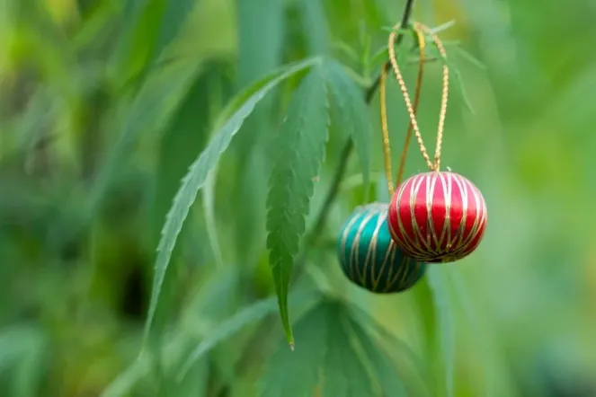 shutterstock 2052749657 scaled