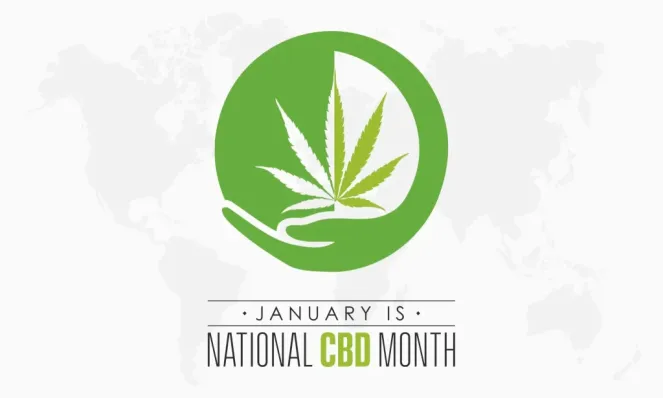 shutterstock 2244166773 scaled