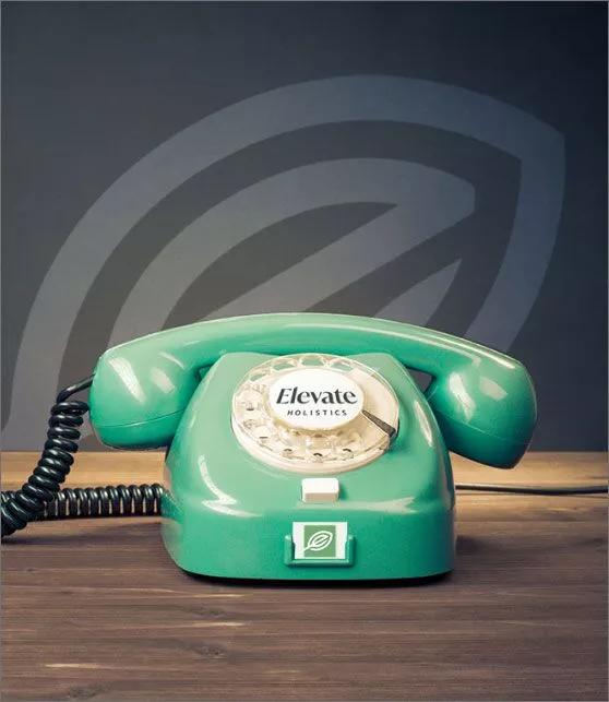 shutterstock 195633773b