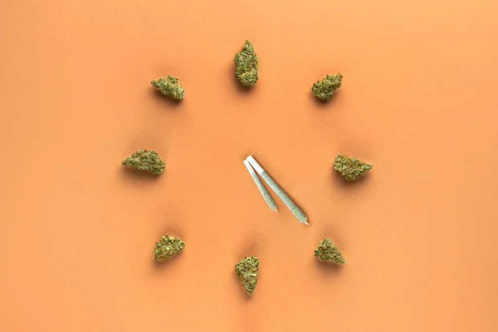 shutterstock 2282713295 scaled