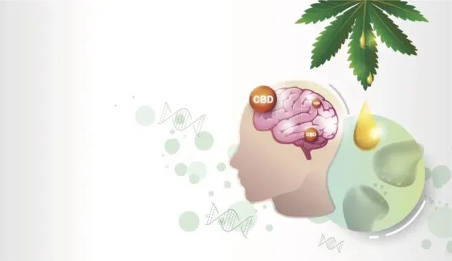 shutterstock 1519176221 scaled