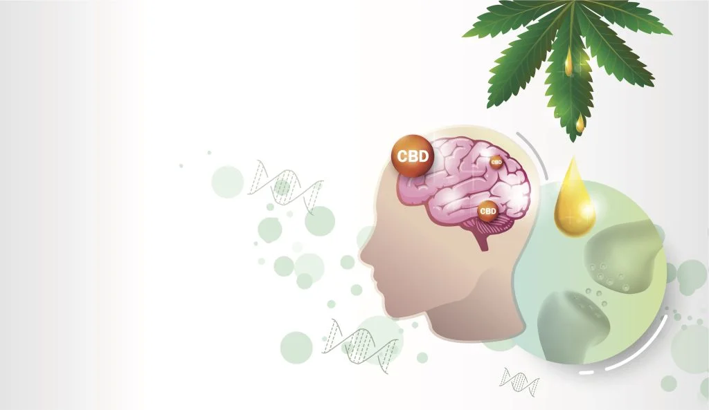 shutterstock 1519176221 scaled