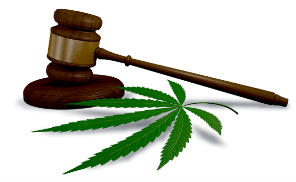 shutterstock 347935079a