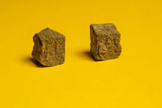 shutterstock 2073016844 scaled