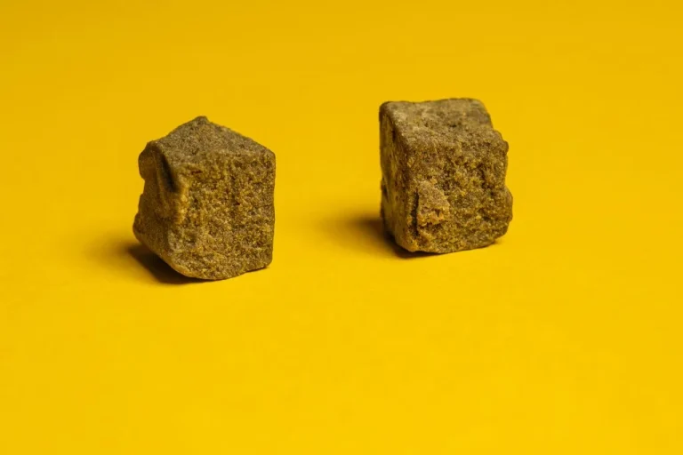 shutterstock 2073016844 scaled