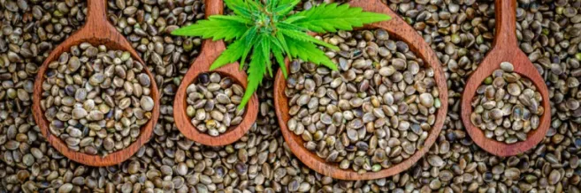 shutterstock 1753996253 scaled