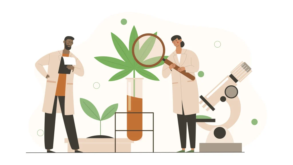 Does HHC Show Up on a Drug Test? 