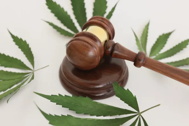 Marijuana reclassification