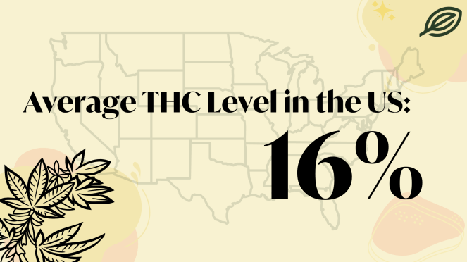 average THC levels in bud