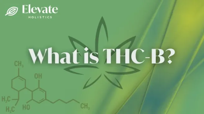 Green cannabis-themed banner with “What is THC-B?” text, Elevate Holistics logo, cannabis leaf outline, and faint chemical structure in the background.