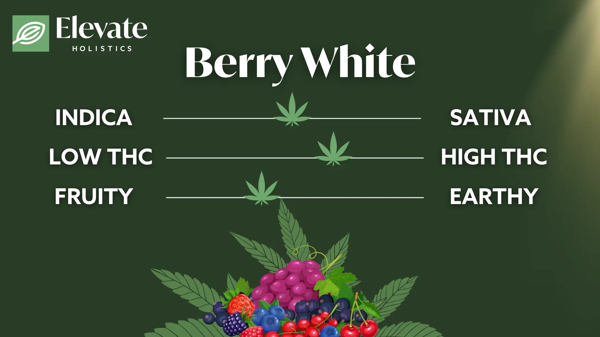 berry white strain