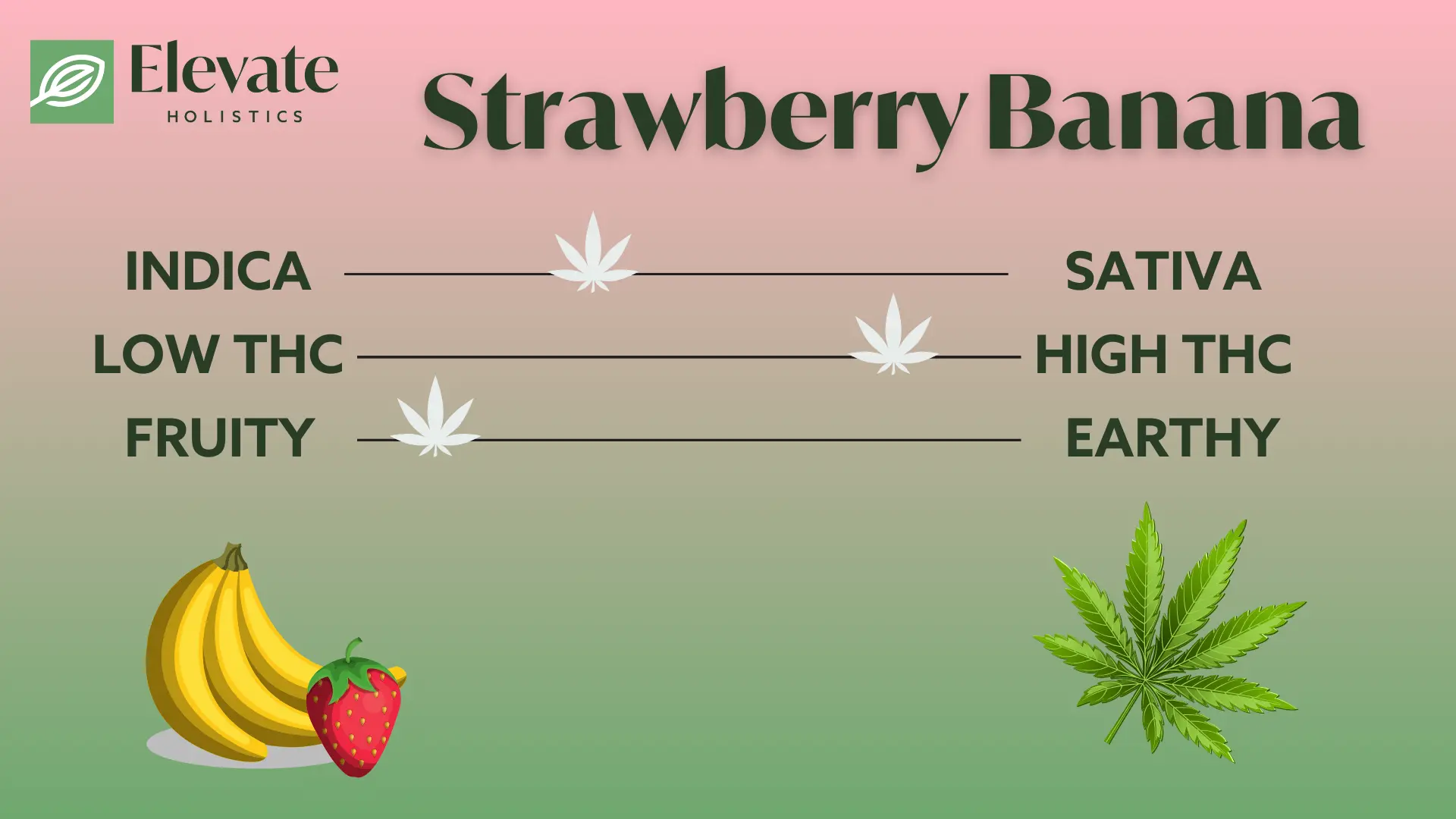 strawberry banana strain