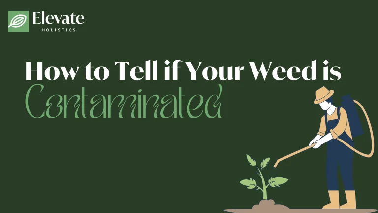 how to test if weed is contaminated