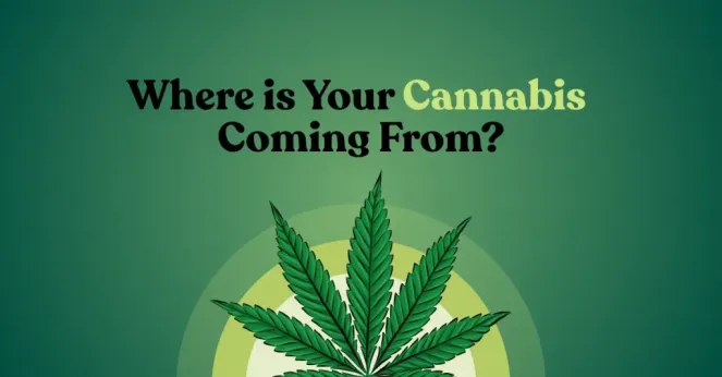 Where is Your Cannabis Coming From