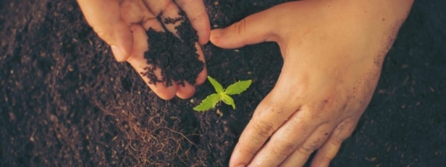 shutterstock 1055097308 scaled